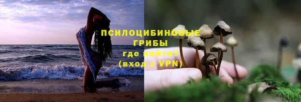 дурь Алзамай