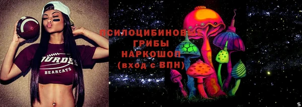 бошки Абаза