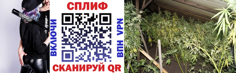 что такое наркотик  Приволжск  Каннабис Amnesia 